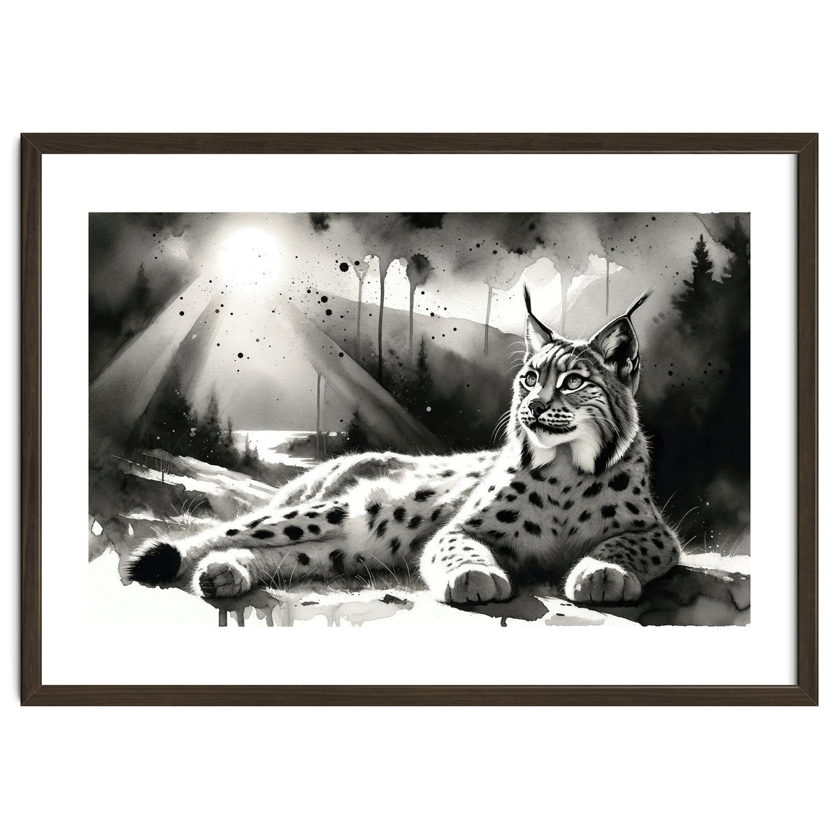 Lynx Resting In Sunlight