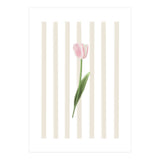 Single Tulip (Print Only) thumbnail