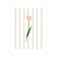 Single Tulip (Print Only)