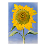 Georgia O’Keeffe – Sunflower, New Mexico (1935) | Bold Modernist Floral Painting Inspired by the American Southwest (Print Only) thumbnail