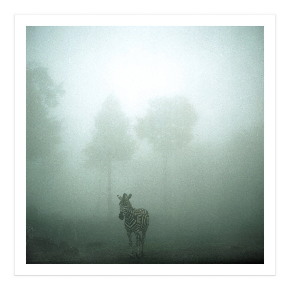 Silence of breath - 01 (Print Only)