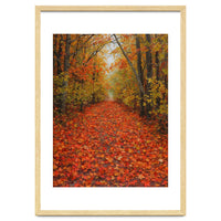 Lush Autumn Forest Path Covered