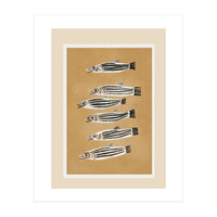 Minimal Fish Study (Print Only)
