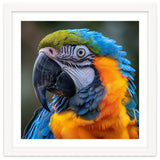 Close Up Portrait Of A Blue And Gold Macaw Parrot thumbnail