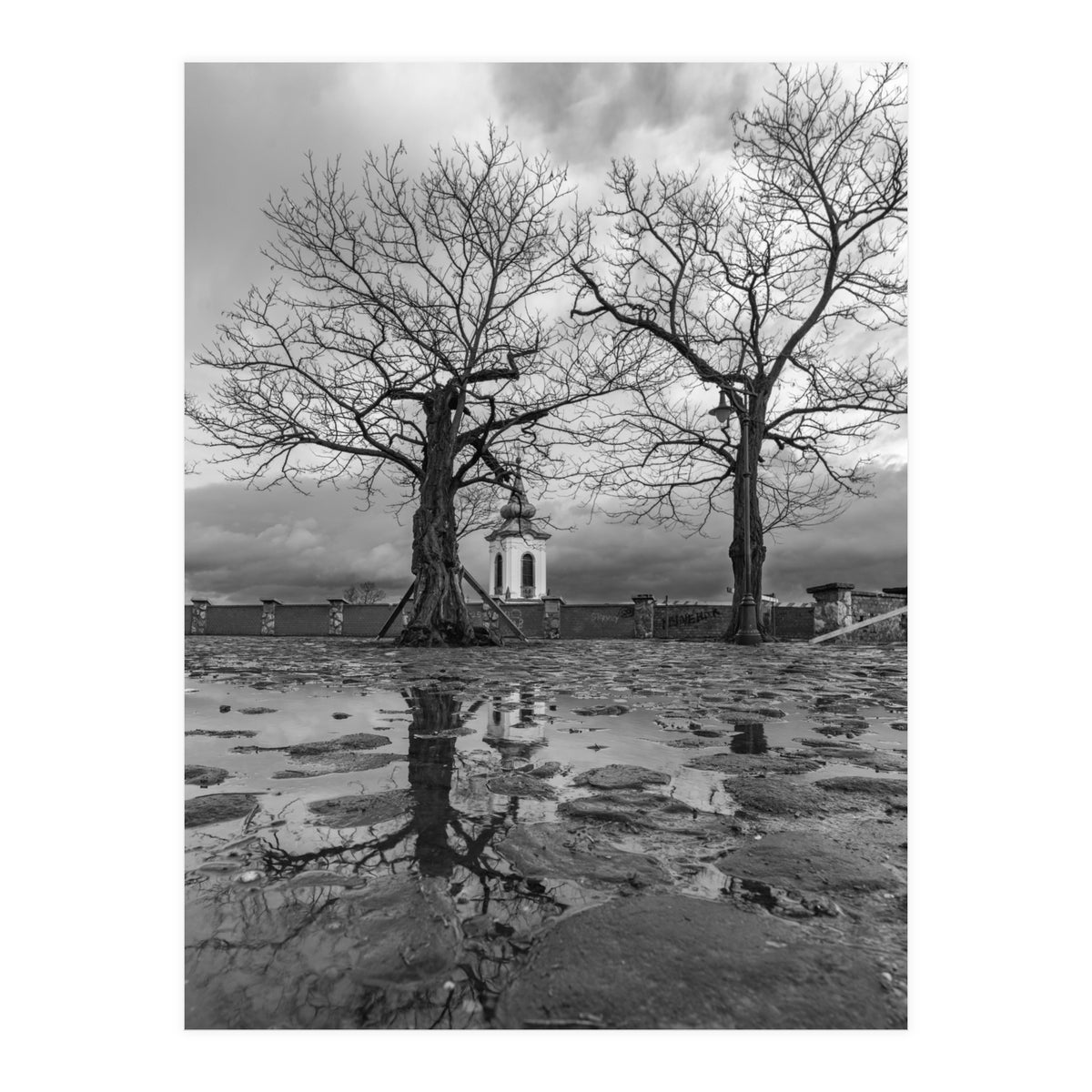 Churches and trees (Print Only)