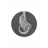 Pangolin no. 3 (Print Only) thumbnail