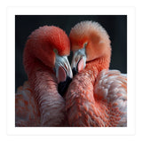Two Flamingos Together Showing Affection (Print Only) thumbnail