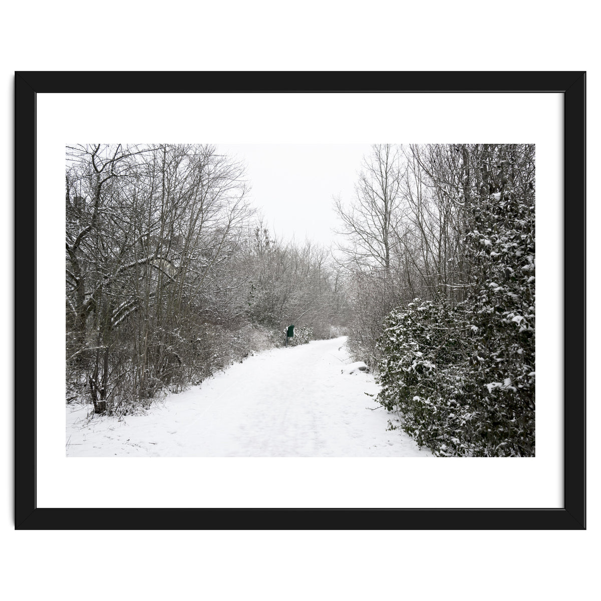 Walking through the snow park
