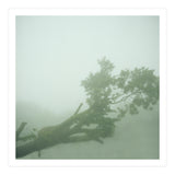 Silence of breath - 07 (Print Only) thumbnail