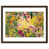 Flamingo Island thumbnail