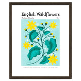 English Wildflowers | Lesser Celandine thumbnail