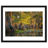 Heron in the swamps thumbnail