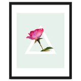 Rose thumbnail