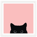 Black cat thumbnail