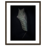 Leaves No 3 Color Version thumbnail