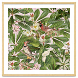 Tropical Bird Garden thumbnail