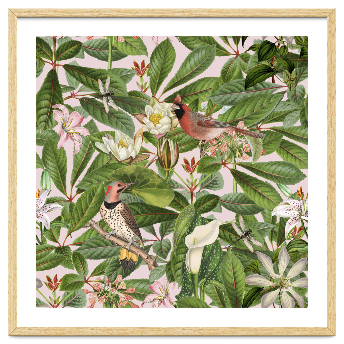 Tropical Bird Garden