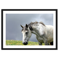 White Horse