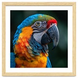 Close Up Of A Colorful Macaw Parrot thumbnail