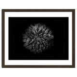 Backyard Flowers In Black And White No 68 with Border thumbnail