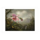 Martin Johnson Heade (Lumberville, 1819-St. Augustine, 1904). Orchid and Hummingbird near a Water... (Print Only) thumbnail