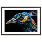 Close Up Of A Peacock Bird Head Eye thumbnail