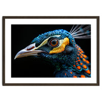 Close Up Of A Peacock Bird Head Eye