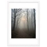 Ethereal Morning Light Breaking Through Dense Forest Fog thumbnail