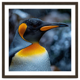 Close Up Of King Penguin In The Rain thumbnail