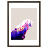 Macaw thumbnail