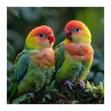 Lovebirds Perched Together On Mossy Branch (Print Only) thumbnail