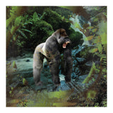 Gorilla  (Print Only) thumbnail