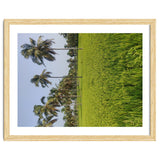 The Paddy Fields of Kerala, South India thumbnail