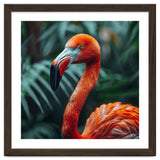 Close Up Of A Vibrant Orange Flamingo Bird thumbnail