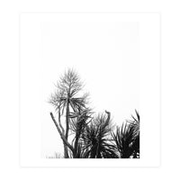 Miminalist Palm (Print Only)