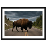 Bison on the Road , Yellowstone Wildlife Photography thumbnail