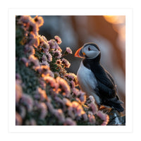 Puffin Bird On Rocks Near Pink Flowers At Sunset (Print Only)
