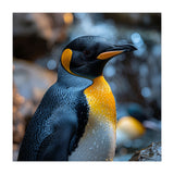 King Penguin Close Up Portrait Nature (Print Only) thumbnail
