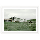 Sheep with a farmhouse - Iceland thumbnail