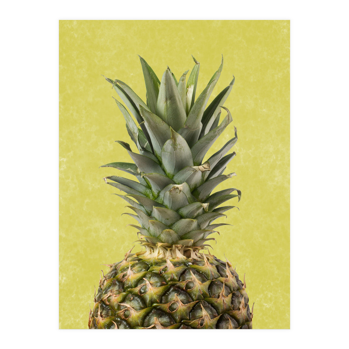 Pineapple Crown, Tropical Summer Fruit Art (Print Only)