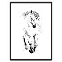 Runninh Ghorse In Water