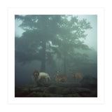 Silence of breath - 05 (Print Only) thumbnail
