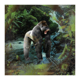 Gorilla  (Print Only) thumbnail