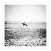 Sea Horse (Print Only)