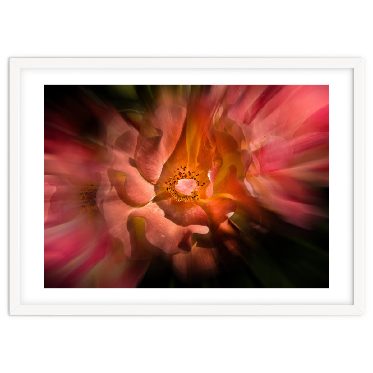 Backyard Flowers No 40 Color Flow Version