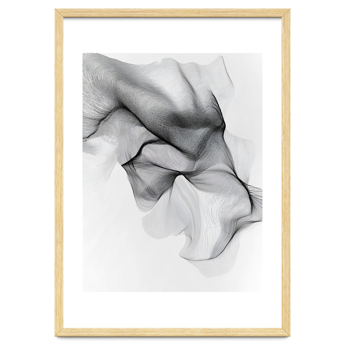 Abstract Black And White Flowing Lines Forming Organic Shapes And Forms
