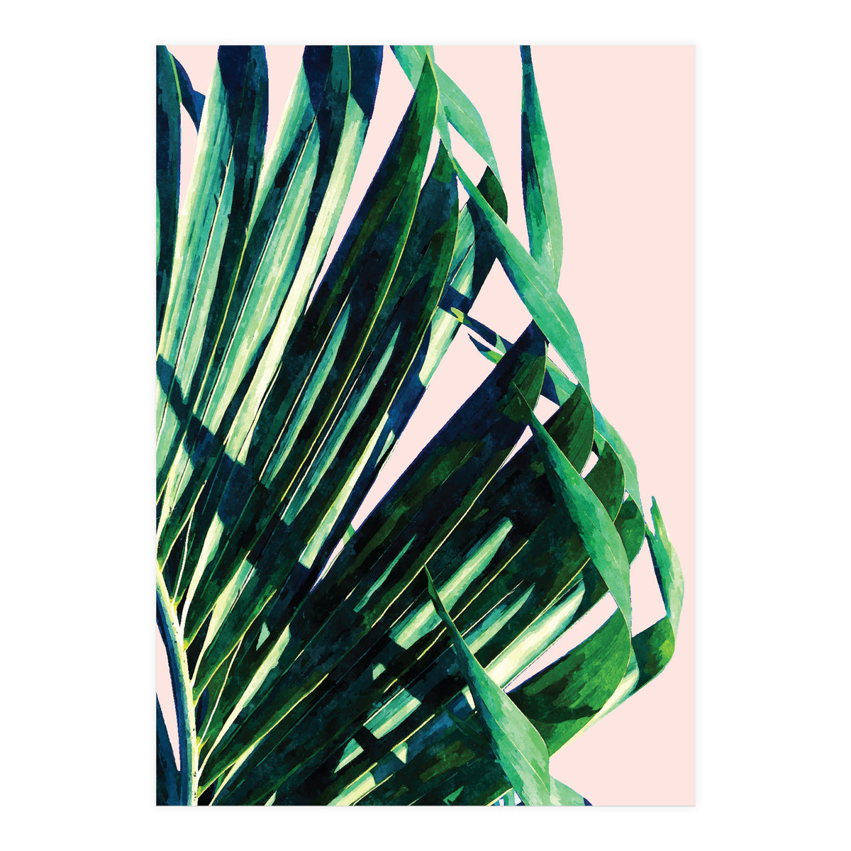 Palm V2 (Print Only)