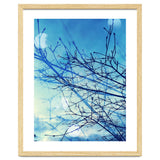Winter thumbnail