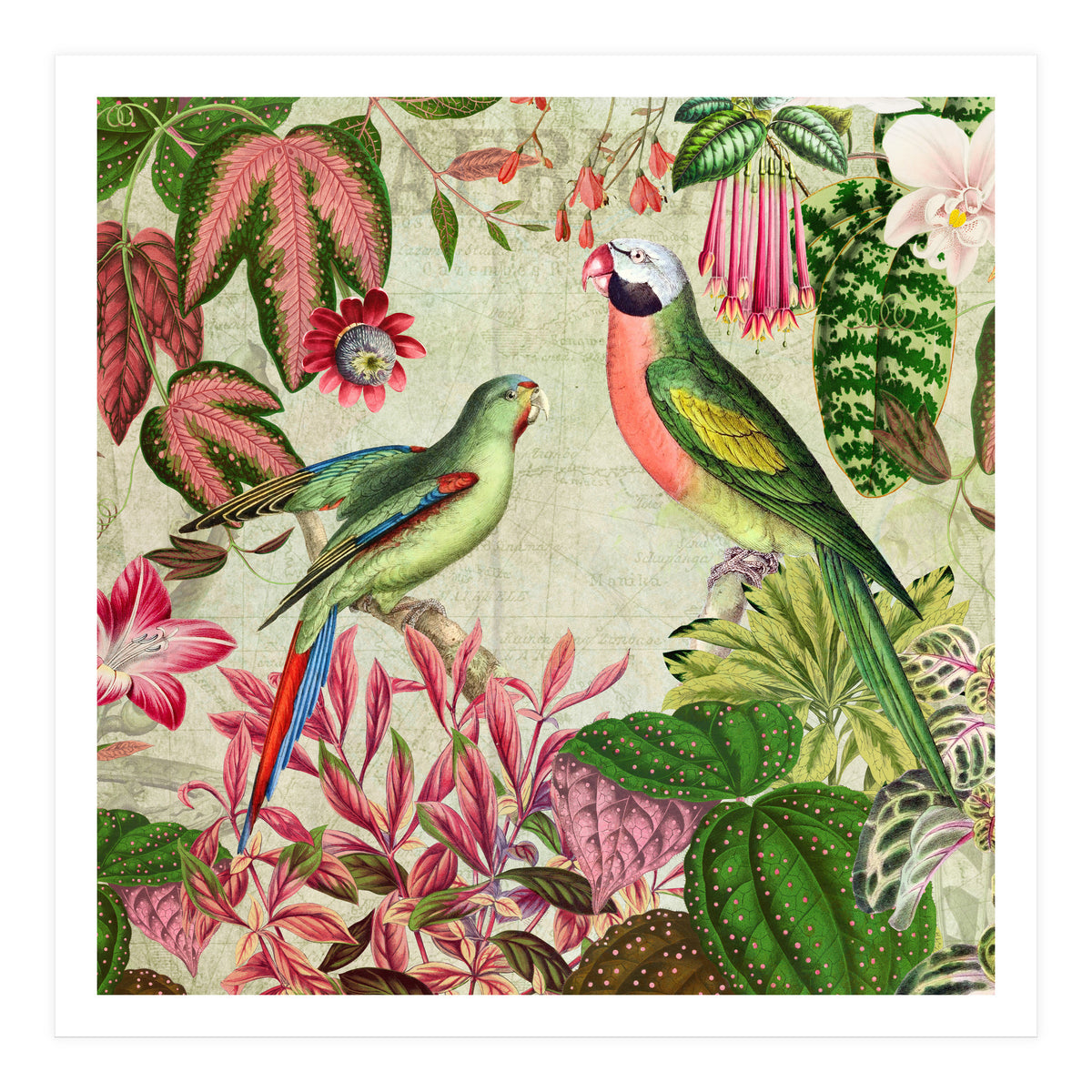 Exotic Lush Rainforest With Colorful Parrots And Flowers (Print Only)