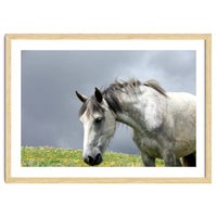 White Horse